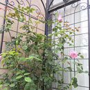 4 Pack Metal Garden Trellis for Climbing Plants