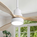 48 Inch Indoor Ceiling Fan with Light and Remote Control by HouseOfZazla