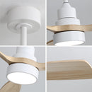 48 Inch Indoor Ceiling Fan with Light and Remote Control by HouseOfZazla