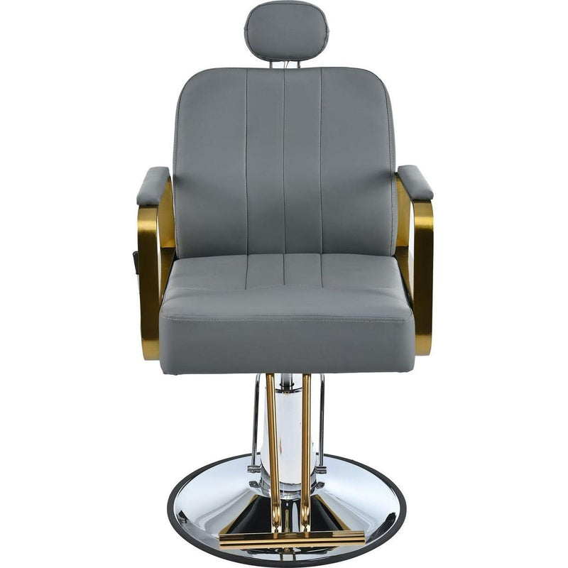 Premium Reclining barber Chair Salon Chair for Hair Stylist with Heavy Duty Hydraulic Pump, 360 Rotation, Tattoo Chair Shampoo Beauty Salon Equipment, Max Load Weight 400 Lbs, Gray