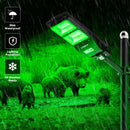 Solar Green Feeder Light for Hunting -12,000 lumens