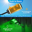 Solar Green Feeder Light for Hunting -12,000 lumens