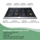 48" Slide-in Freestanding Professional Style Gas Range with 6.7 Cu. Ft. Oven, 8 Burners, AK-JK48A1-W by Akicon - Handmade
