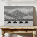 Where the Buffalo Roam