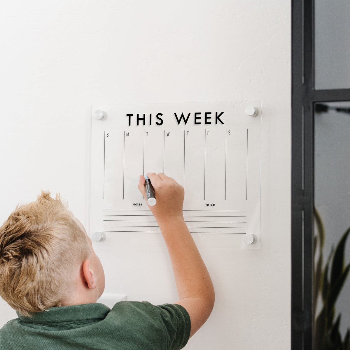 Weekly Acrylic Calendar + 2 Sections | Horizontal Madi, photo 10 of 23