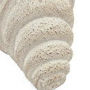 11.5x7x7' Sand and Cement Nautilus Shell Planter with Textured Beige Finish by HouseOfZazla