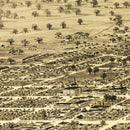 Vintage Map of Santa Rosa, California 1876