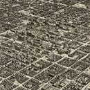 Vintage Map of Stockton, California 1890