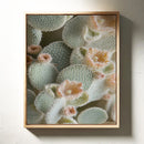 Soft Bloom on Fuzzy Desert Cactus