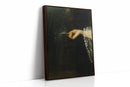 The Painter’s Sleeve in Moonlight