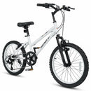 20 Inch Kids Mountain Bike with Adjustable Seat