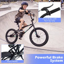 20 Inch BMX Trick Bike with 360° Steering for Kids & Teens by LJGDeals