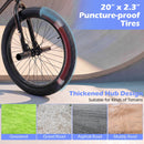 20 Inch BMX Trick Bike with 360° Steering for Kids & Teens