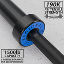 Synergee Regional Barbell