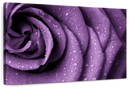 Dewy Violet Rose Wall Art