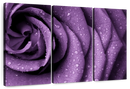 Dewy Violet Rose Wall Art