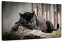 Lounging Black Panther Wall Art