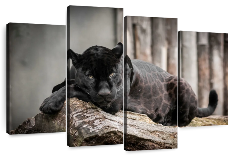 Lounging Black Panther Wall Art