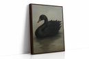Black Swan on Still Water