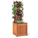 Outdoor Wooden Raised Garden Bed with Trellis by LJGDeals