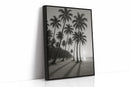 Palm Shadows at Sunrise