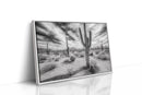 Saguaro Silence in Black and White