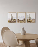Desert