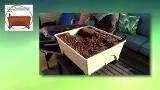 Emsco Group 2341-1HD City Picker Raised Bed Self Watering and Improved Aeration – Mobile Unit with Casters-Hunter Green Grow Box and Seed Starter, photo 3 of 4