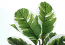 27" Tall Real Touch Artificial Rubber Plant by HouseOfZazla
