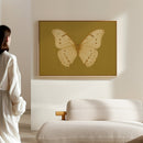 Golden Ivory Butterfly Study