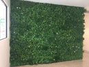 Sample Panel – White Oasis Vertical Garden (Small Sample) by Designer Plants USA