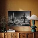 Sentinels of the Sonoran