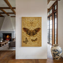 Vintage Moths and Meadow Wings