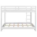 Sturdy Bunk Bed With Ladder by HouseOfZazla