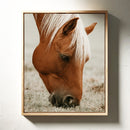 Graceful Graze and Golden Stillness