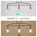Industrial 3-Light Pendant Chandelier with Clear Glass Shades