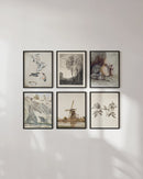 Farmhouse vintage illustration