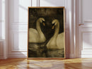 Two Swans in Quiet Reflection
