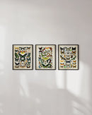 Adolphe millot butterfly set