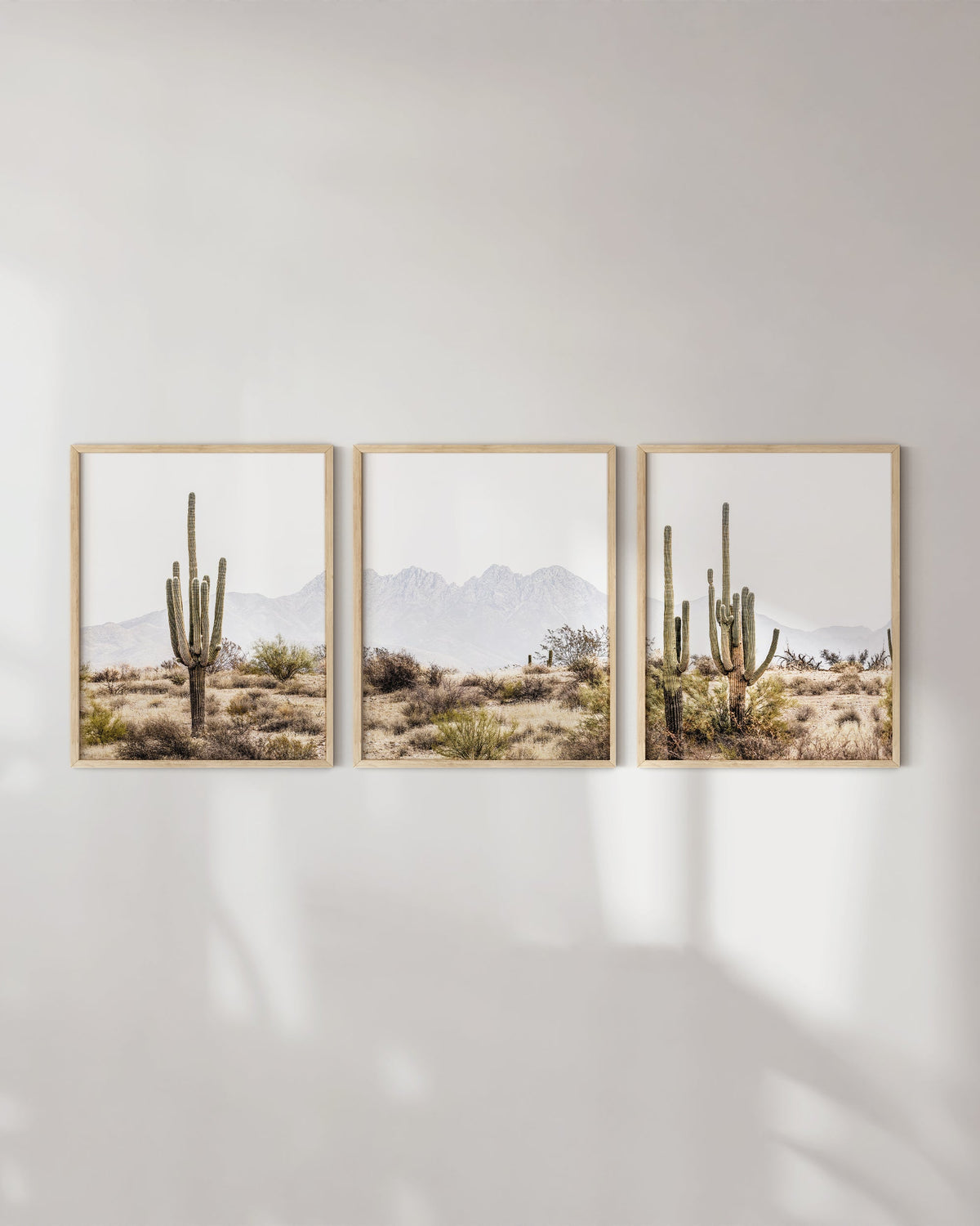Desert, photo 5 of 5