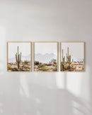 Desert