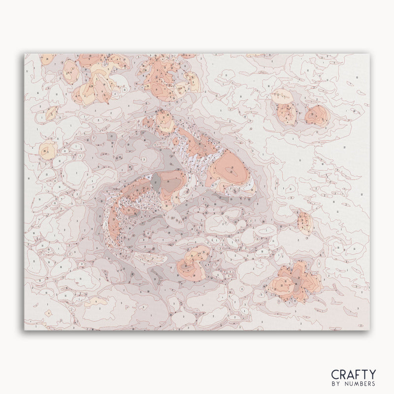 Swimming Koi