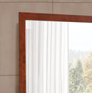 Burlington - Modern Design Transitional Wall Mirror by Unique Piece Furniture