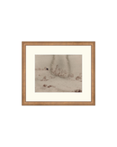 Traces of the Field I