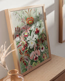 Haeckel floral