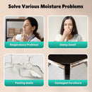 24 Pints Dehumidifier D4212B