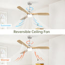 Ceiling Fan With Dimmable LED Light 6 Speed Remote 3 Wood Blade Reversible DC Motor For Bedroom - Brushed Nickel by HouseOfZazla