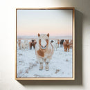 Fluffy Pony in Winter Herd
