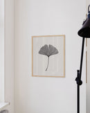 Ginkgo Leaf