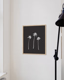 Palm trees